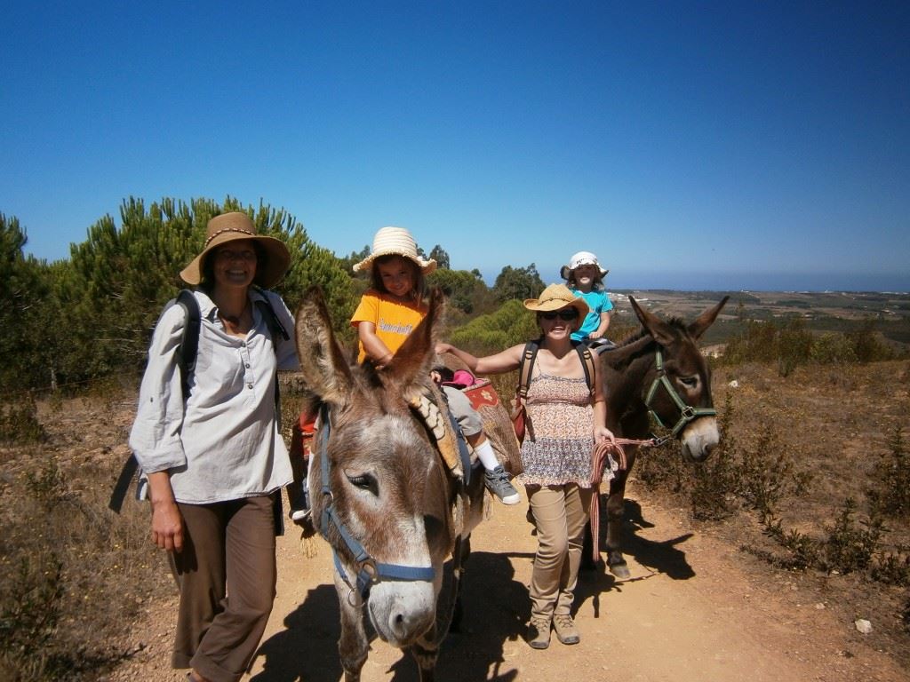 Ken family Totally Spain donkeys Portugal