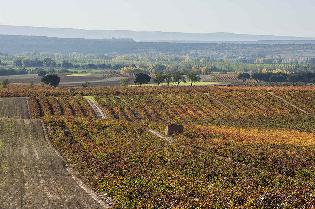 Ribera del Duero Spain wines wineries exclusive 