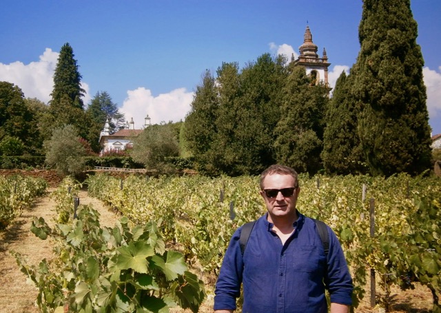 gardens wines vines vineyard 