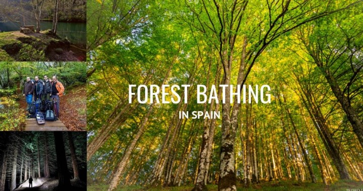 forest bathing in Spain